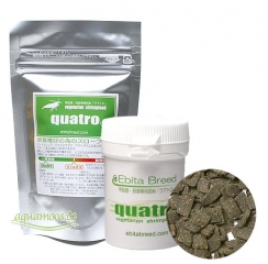 Ebita Breed quatro 50g